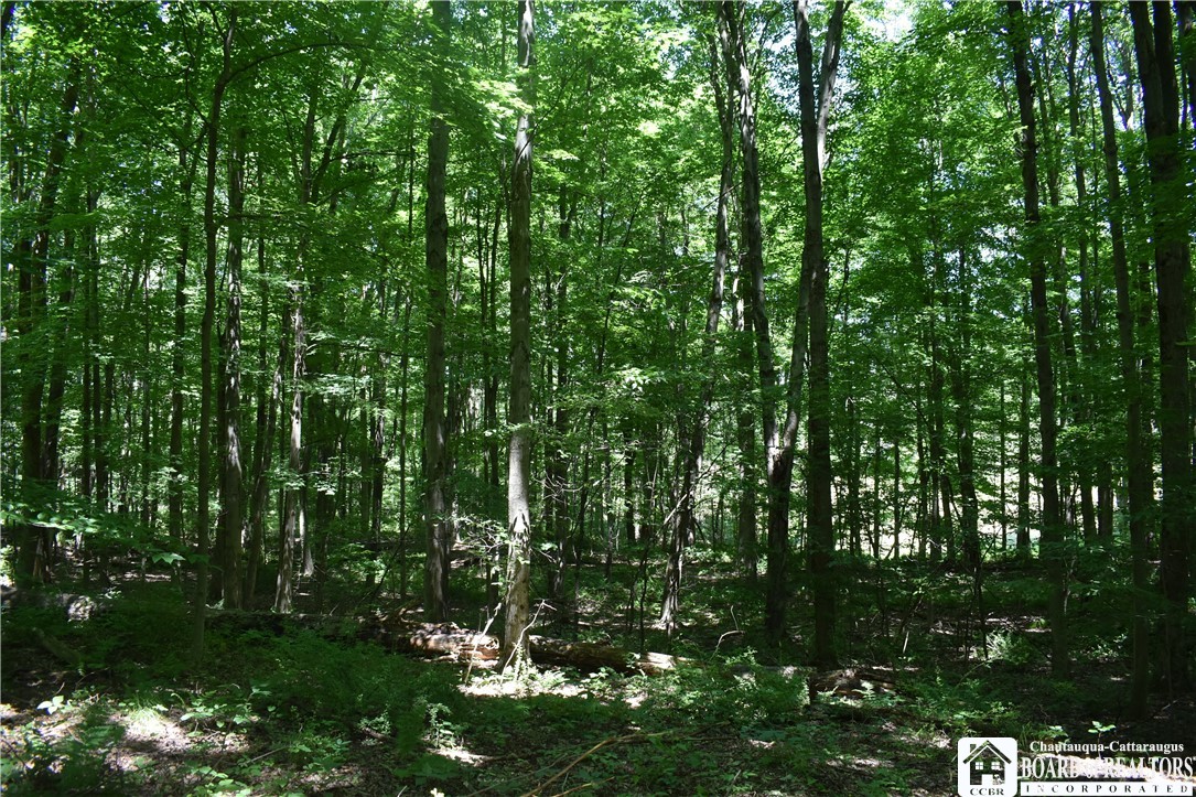 0 Bayview Road Bemus Point, NY 14712 - Photo 13 of 31