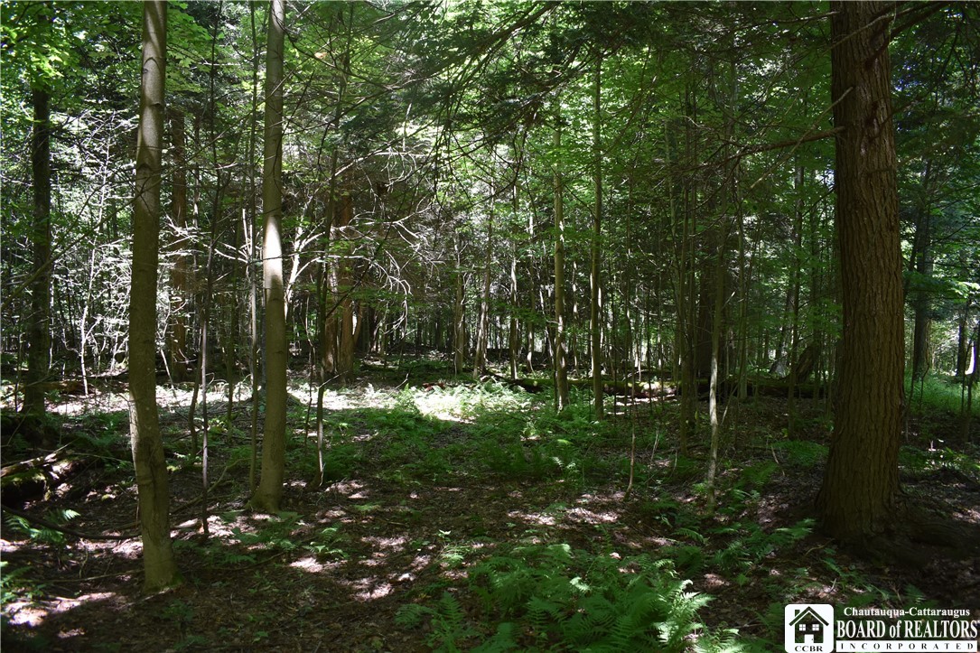 0 Bayview Road Bemus Point, NY 14712 - Photo 15 of 31