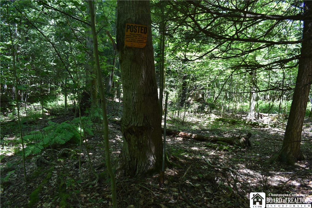 0 Bayview Road Bemus Point, NY 14712 - Photo 16 of 31