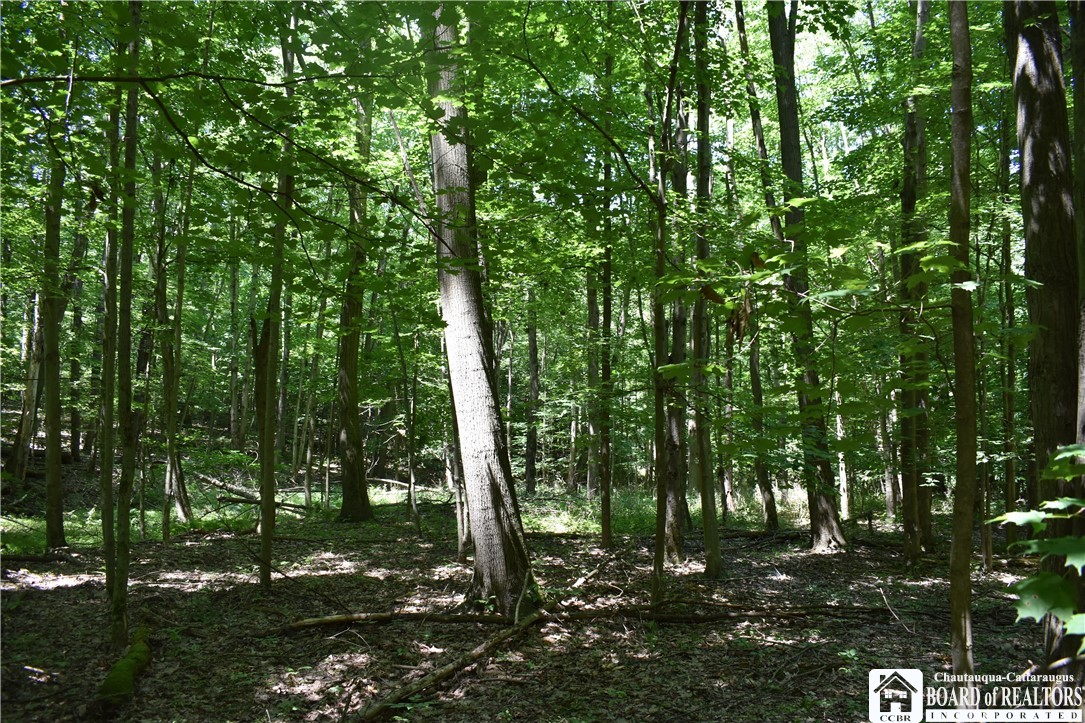 0 Bayview Road Bemus Point, NY 14712 - Photo 17 of 31