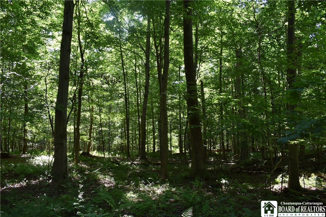 0 Bayview Road Bemus Point, NY 14712 - Photo 18 of 31