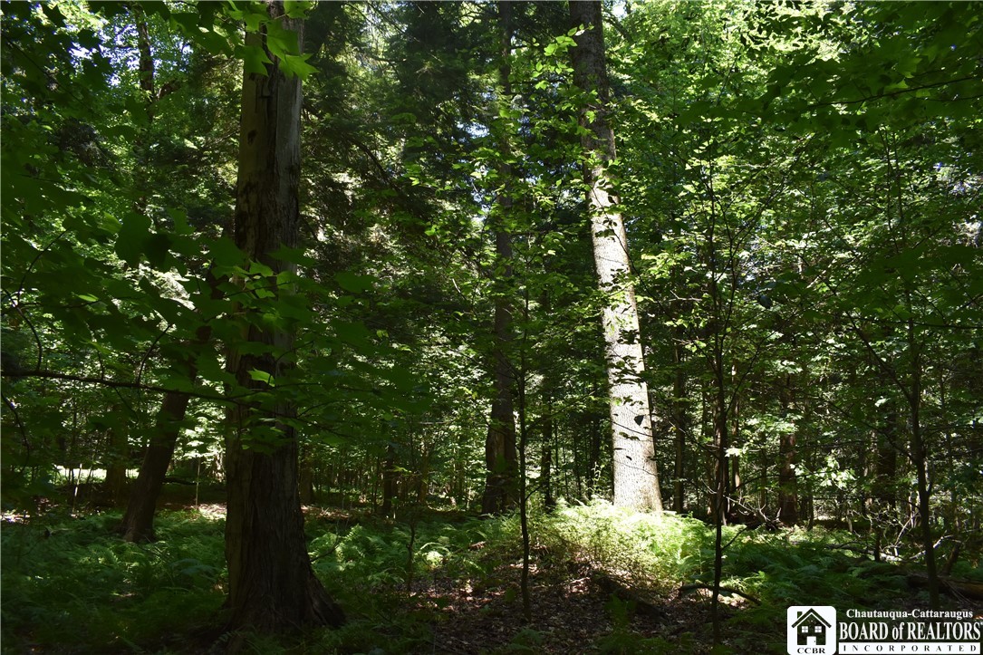 0 Bayview Road Bemus Point, NY 14712 - Photo 19 of 31