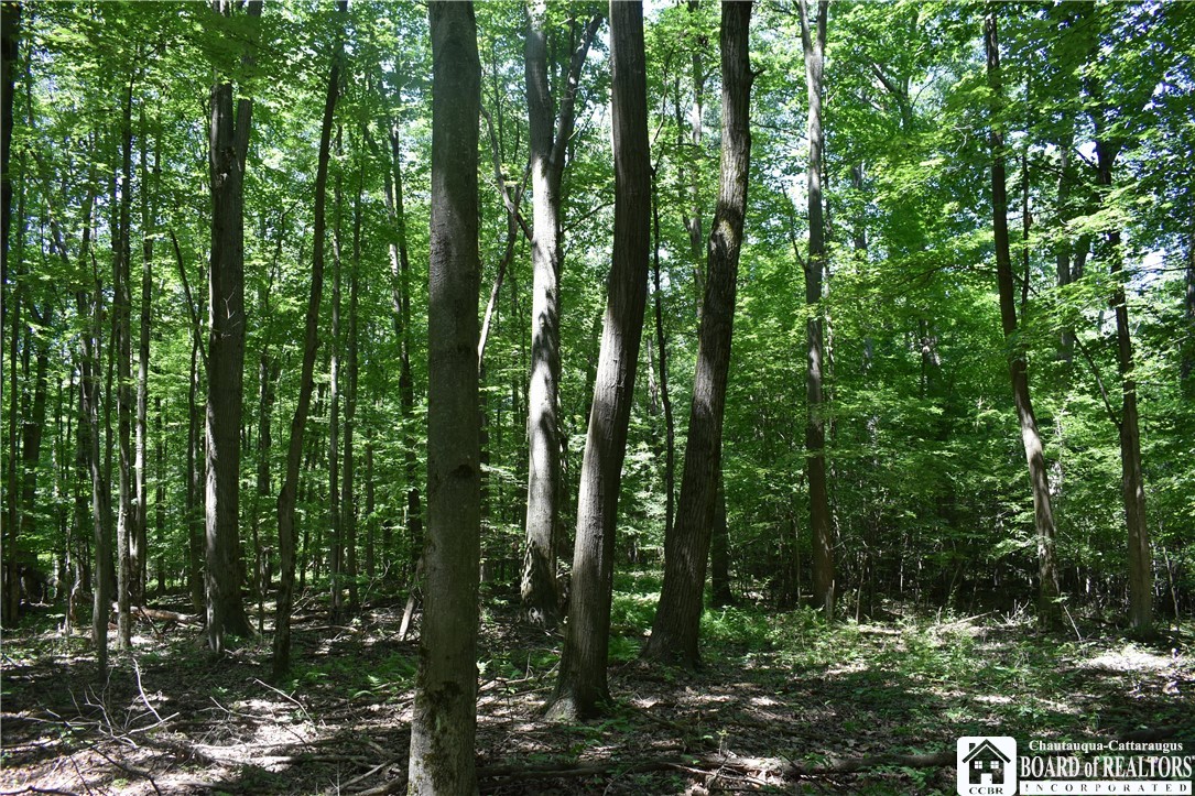 0 Bayview Road Bemus Point, NY 14712 - Photo 20 of 31