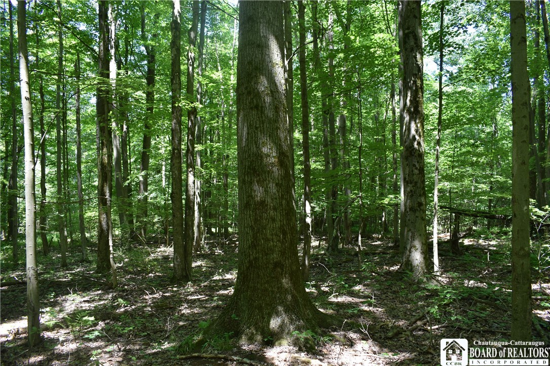 0 Bayview Road Bemus Point, NY 14712 - Photo 2 of 31