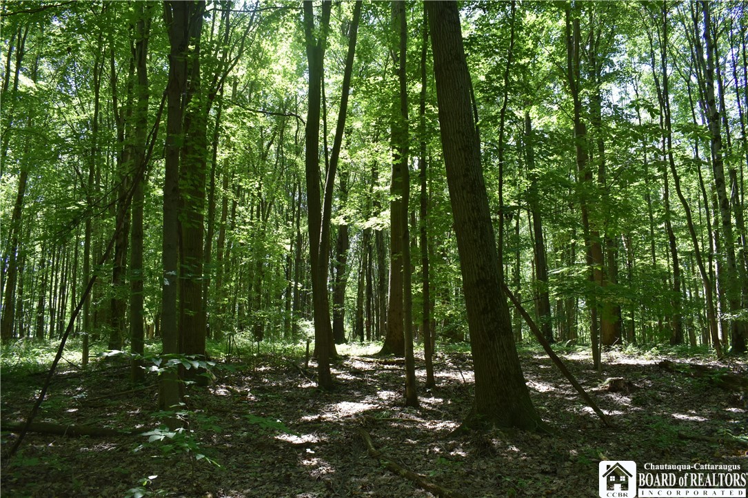 0 Bayview Road Bemus Point, NY 14712 - Photo 22 of 31