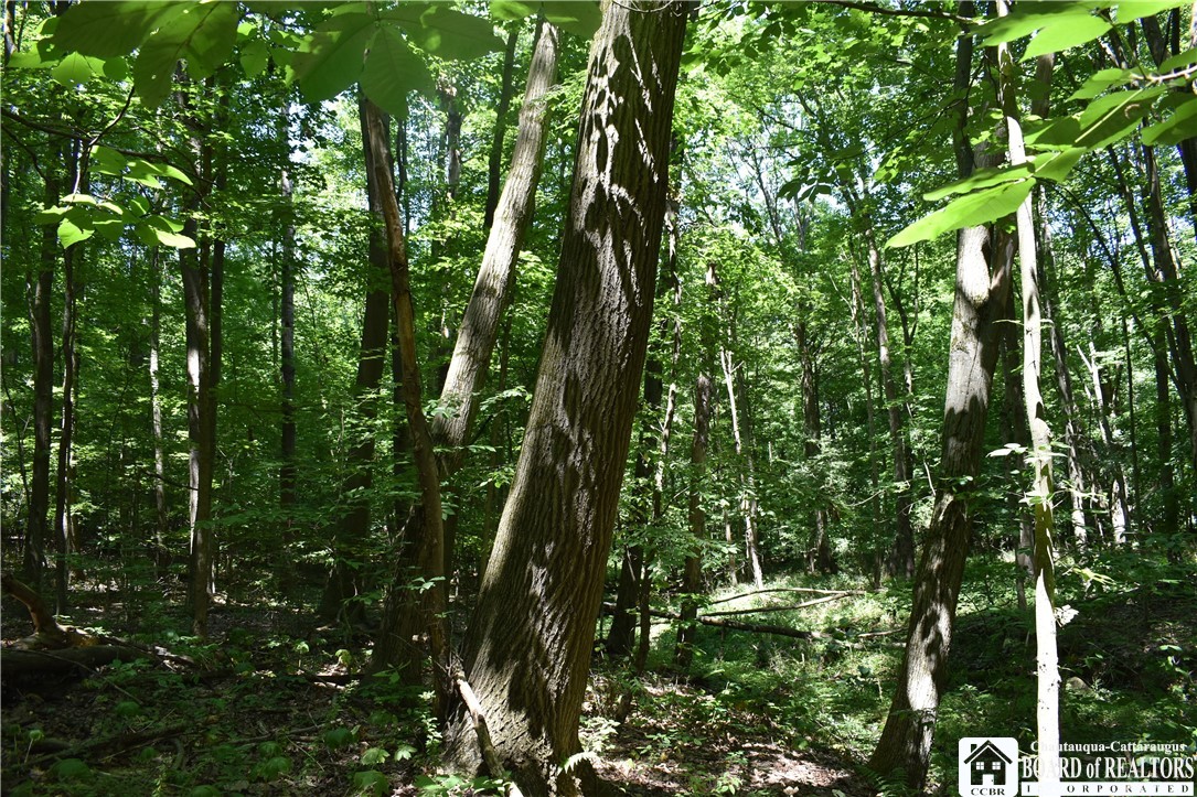 0 Bayview Road Bemus Point, NY 14712 - Photo 23 of 31