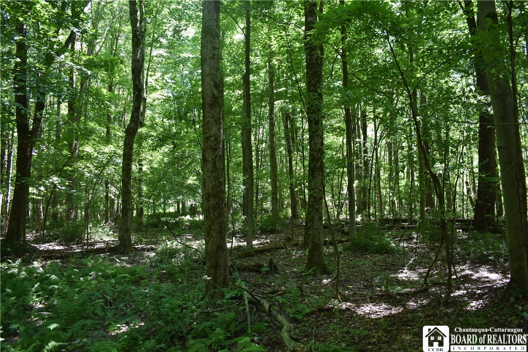 0 Bayview Road Bemus Point, NY 14712 - Photo 24 of 31