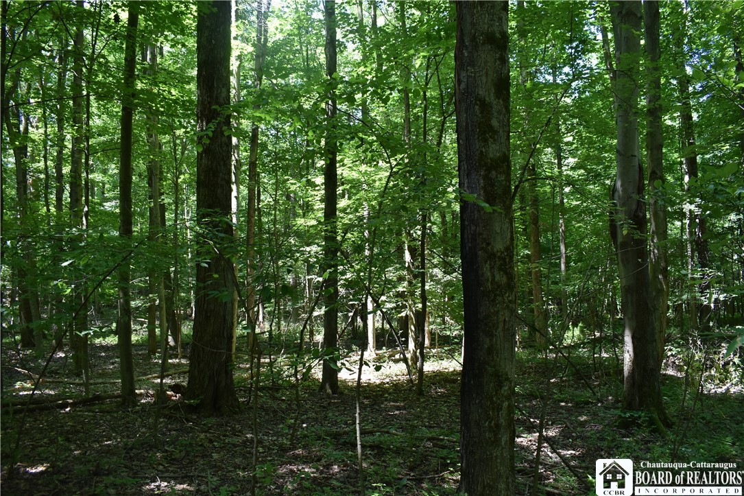 0 Bayview Road Bemus Point, NY 14712 - Photo 25 of 31