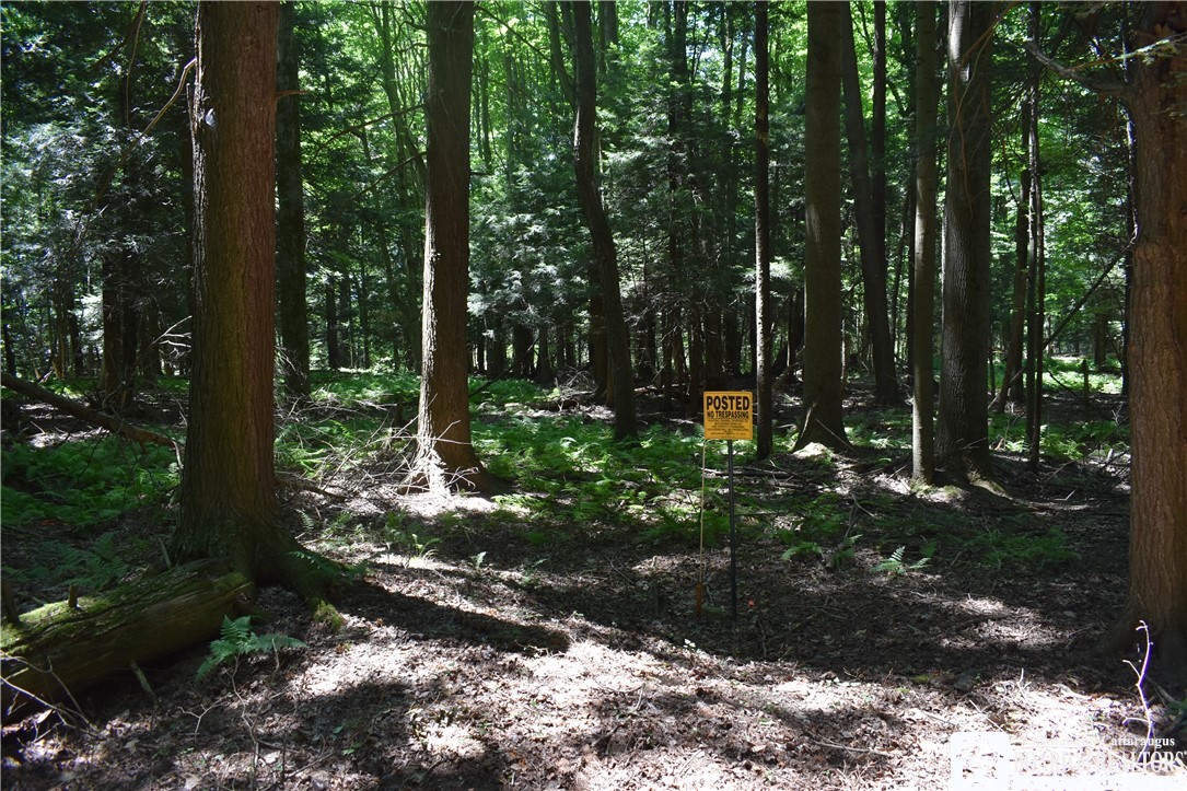 0 Bayview Road Bemus Point, NY 14712 - Photo 27 of 31