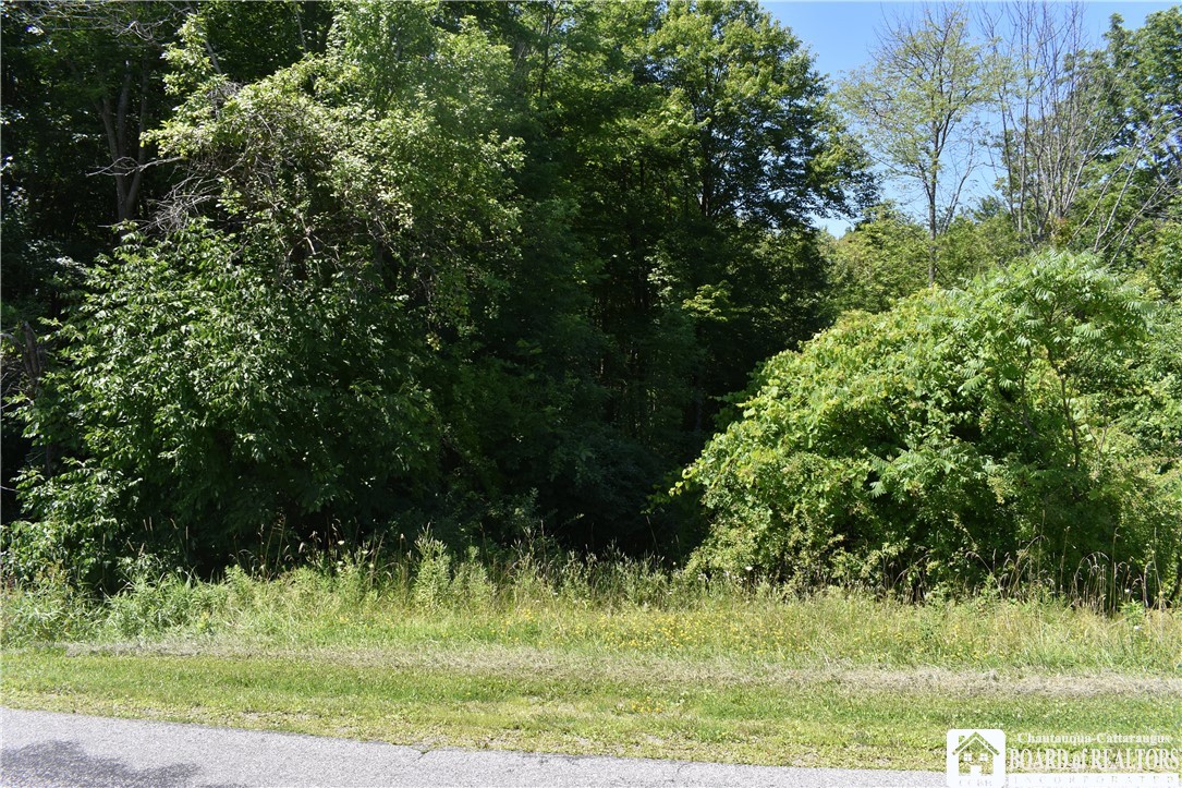 0 Bayview Road Bemus Point, NY 14712 - Photo 28 of 31