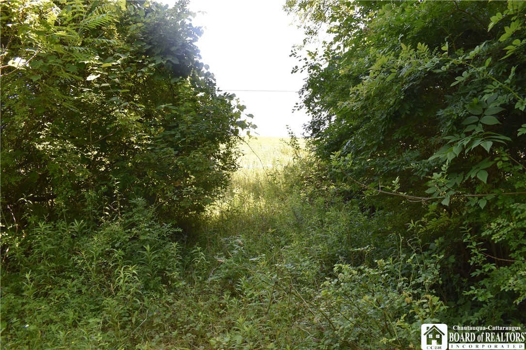 0 Bayview Road Bemus Point, NY 14712 - Photo 29 of 31