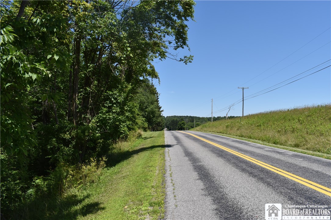 0 Bayview Road Bemus Point, NY 14712 - Photo 30 of 31