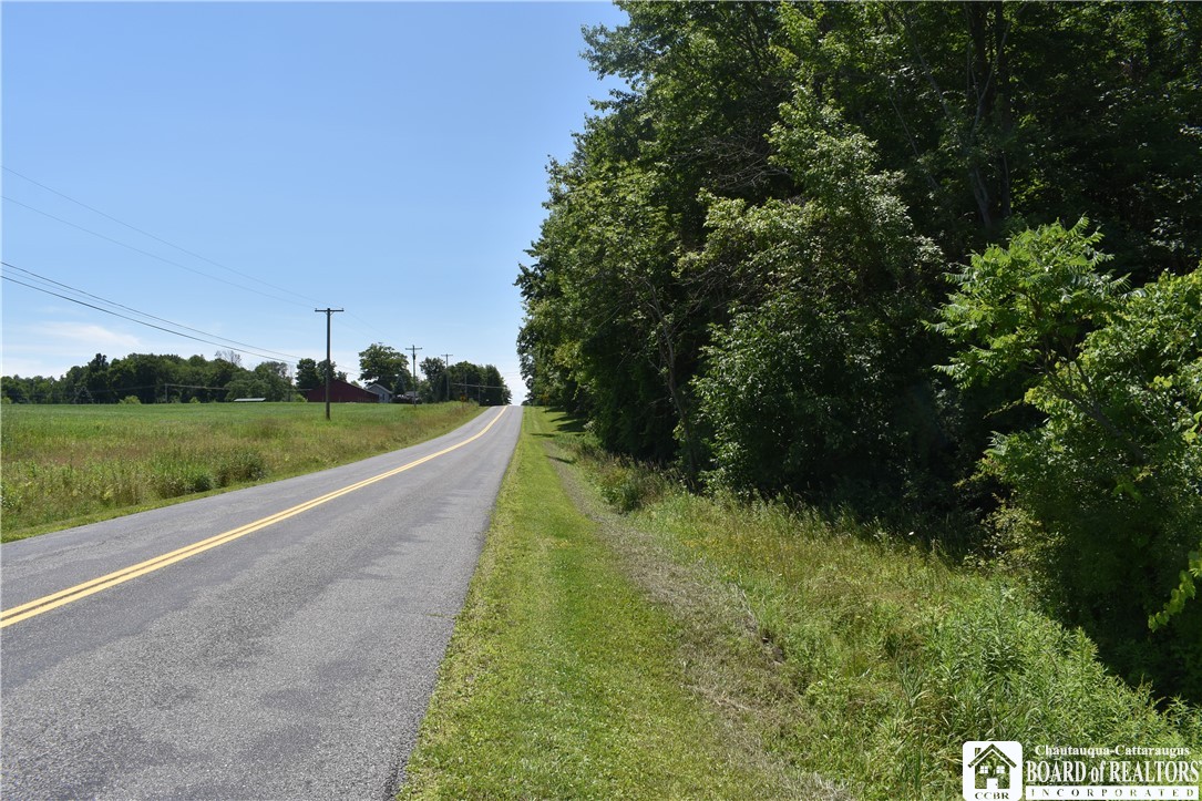 0 Bayview Road Bemus Point, NY 14712 - Photo 31 of 31