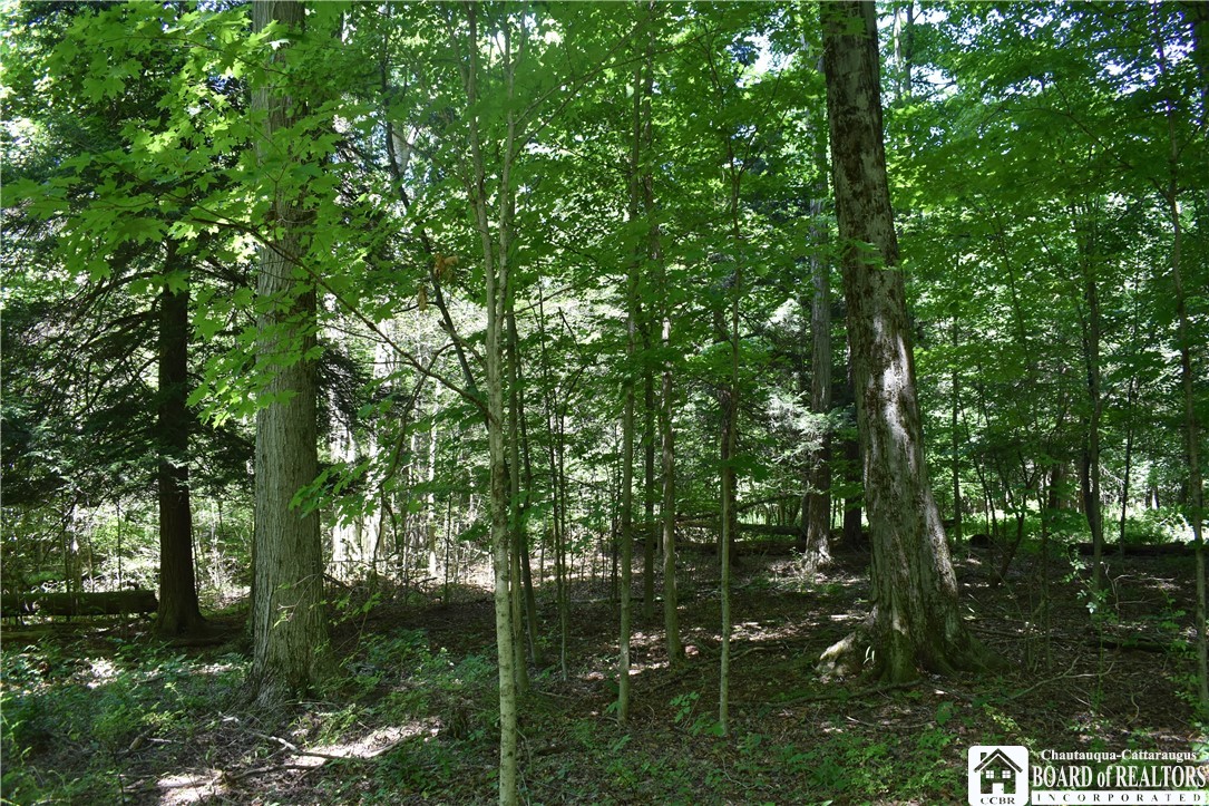 0 Bayview Road Bemus Point, NY 14712 - Photo 4 of 31