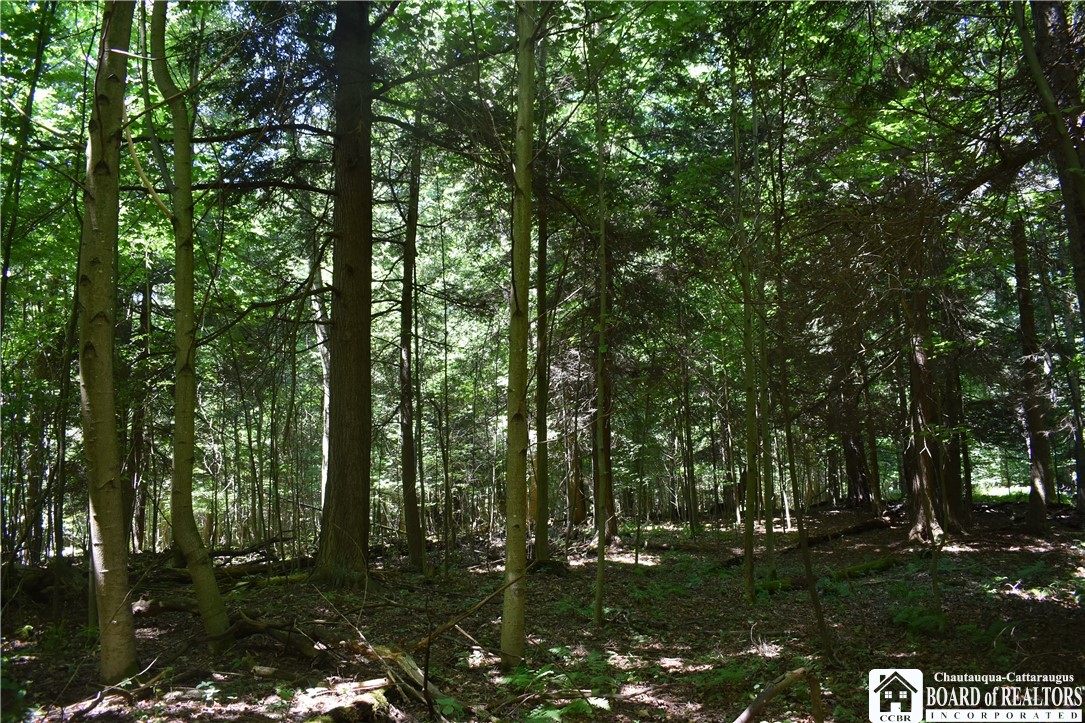 0 Bayview Road Bemus Point, NY 14712 - Photo 5 of 31