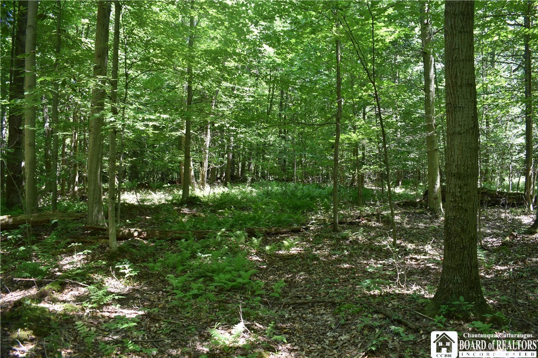 0 Bayview Road Bemus Point, NY 14712 - Photo 8 of 31