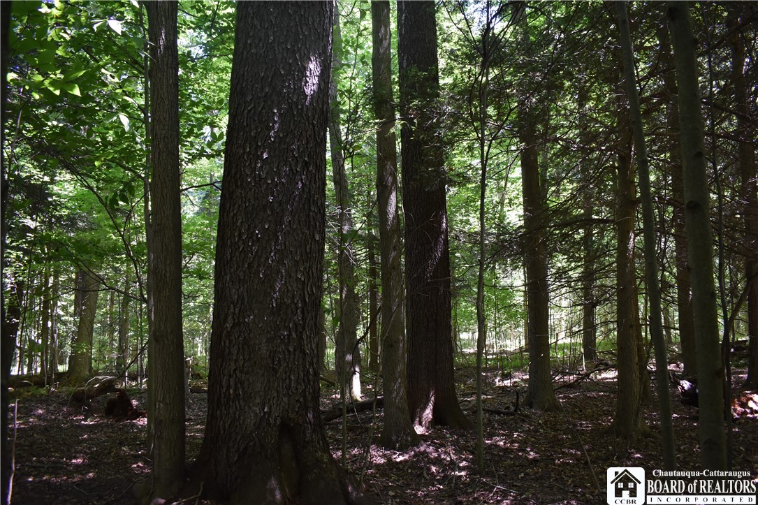 0 Bayview Road Bemus Point, NY 14712 - Photo 9 of 31