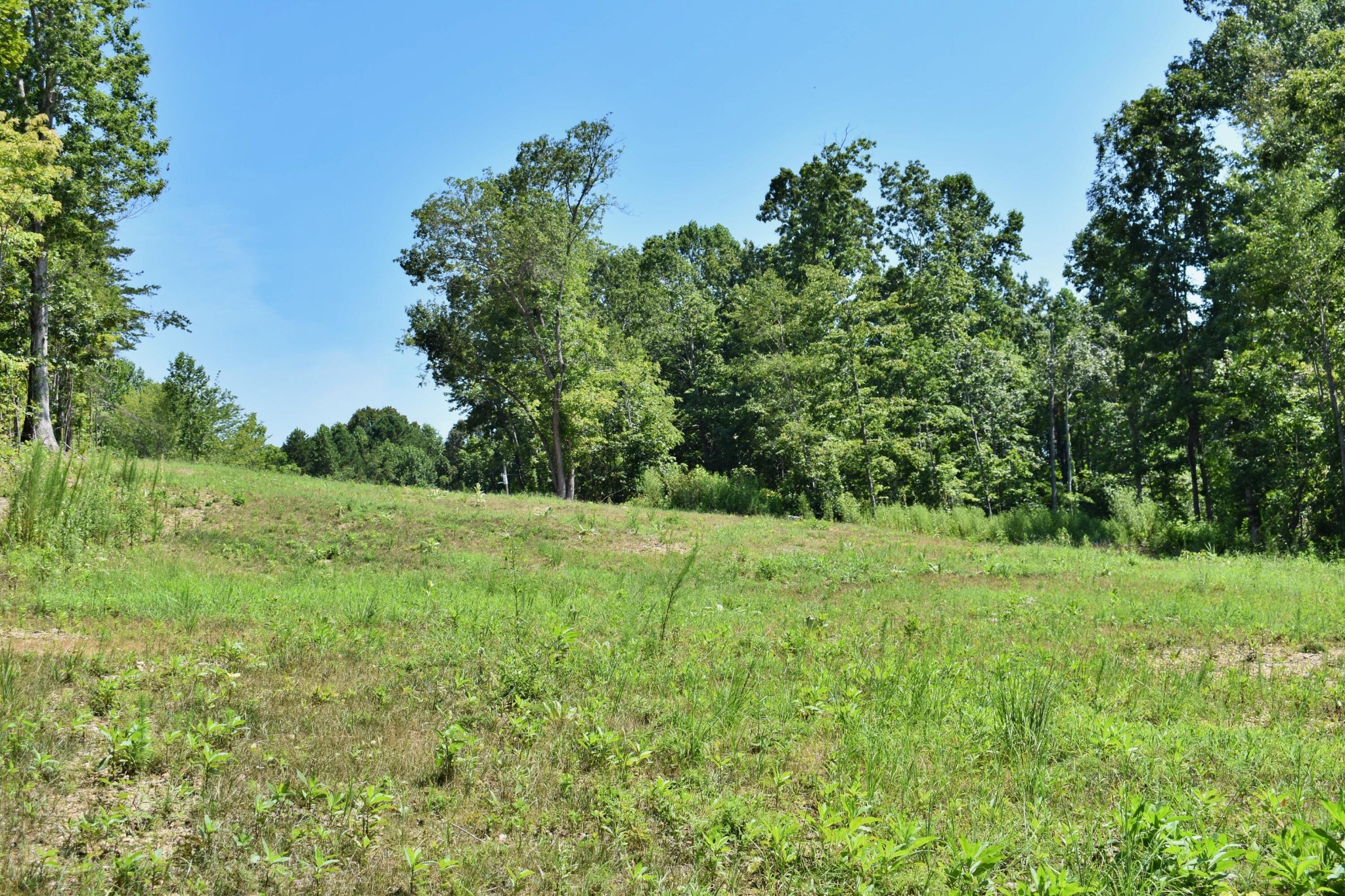 521 Norton Road Philadelphia, TN 37846 - Photo 22 of 42