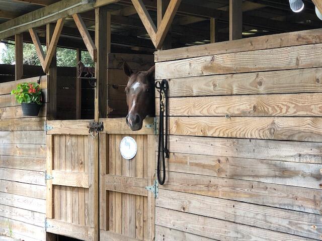 359 West D Road Loxahatchee Groves, FL 33470 - Photo 10 of 21 359 W D Barn