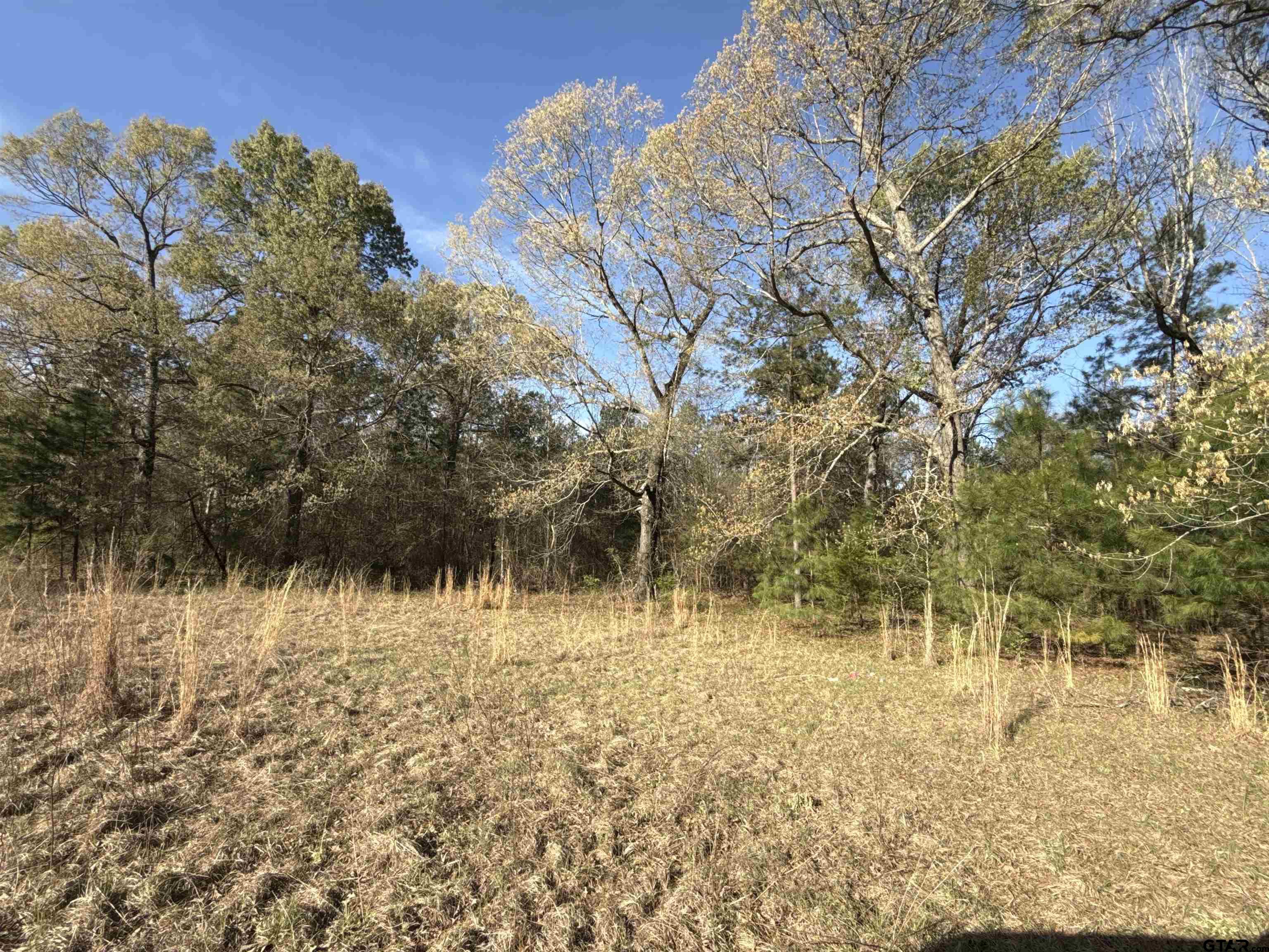 15830 Shady Creek Road Tyler, TX 75705 - Photo 9 of 18