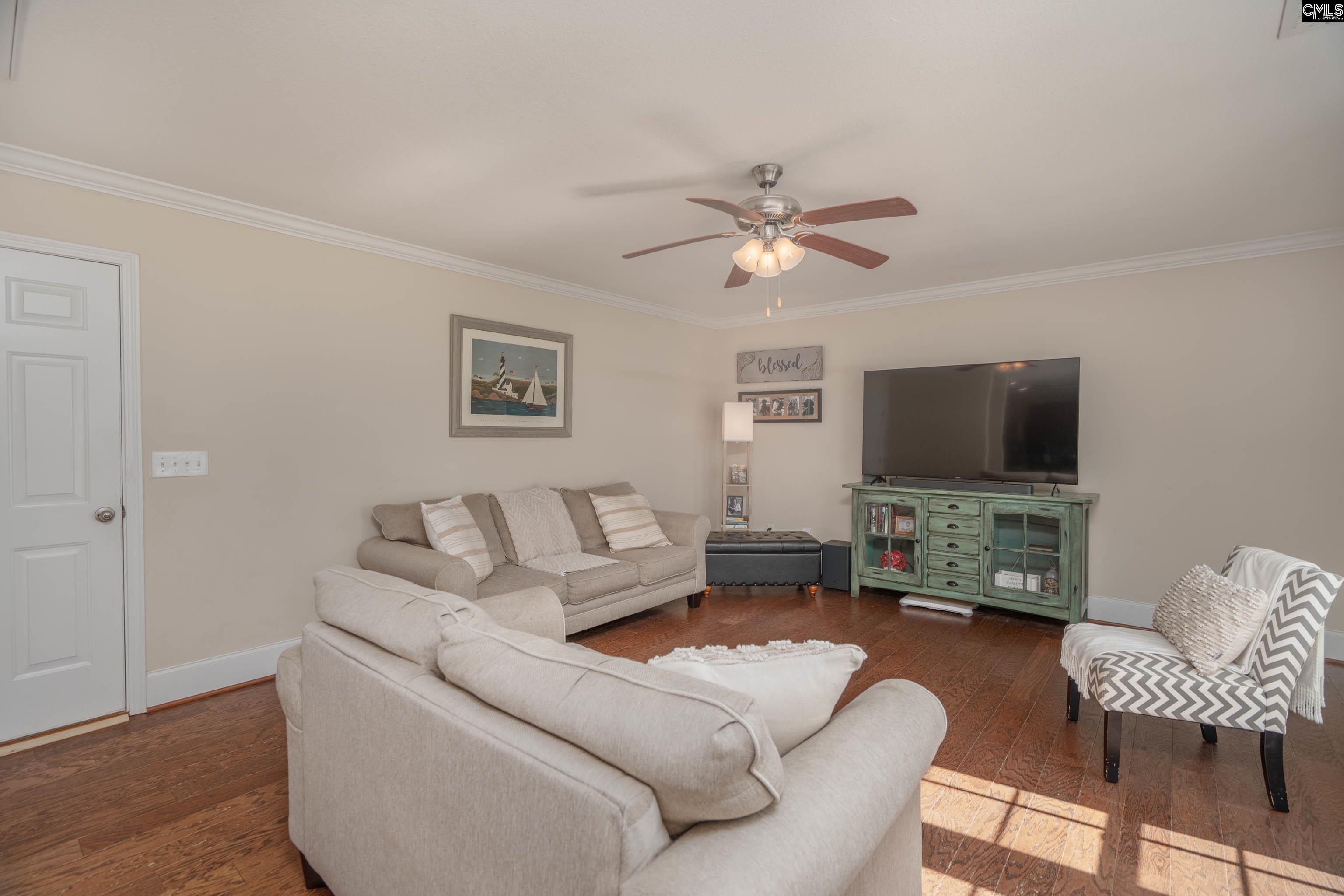 133 Palm Street Chapin, SC 29036 - Photo 14 of 37
