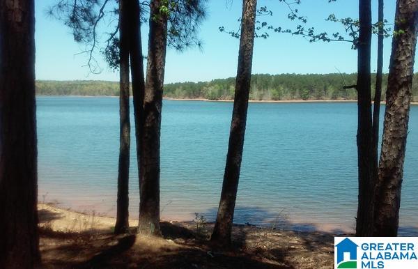 240 County Road, Unit 4 Wedowee, AL 36278 - Photo 1 of 10