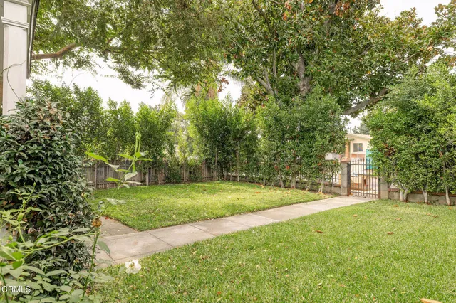a view of a yard with a tree