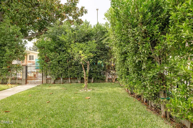 a view of backyard with green space