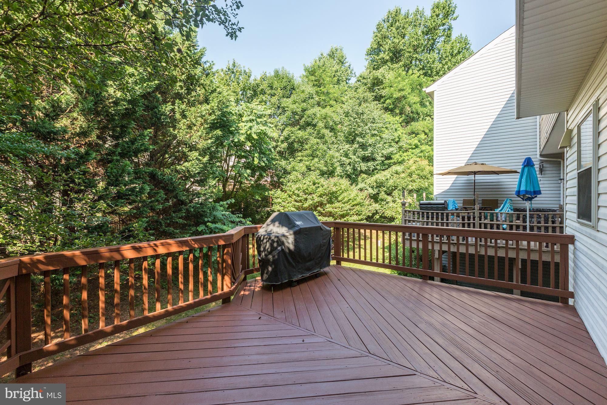 13346 Rushing Water Way Germantown, MD 20874 - Photo 15 of 30 Exterior (Rear)