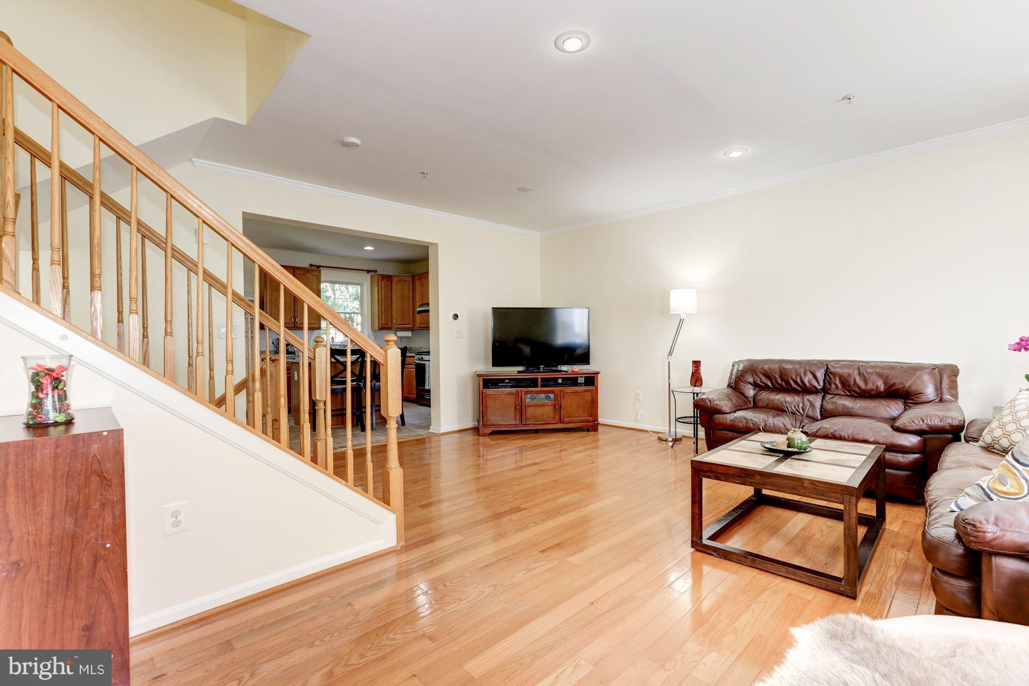 13346 Rushing Water Way Germantown, MD 20874 - Photo 8 of 30 Family Room