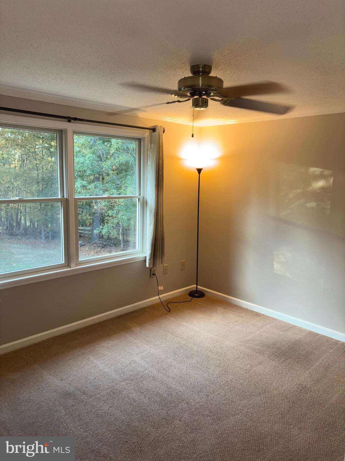 25 Nelson Lane Berkeley Springs, WV 25411 - Photo 15 of 27 an empty room with a window