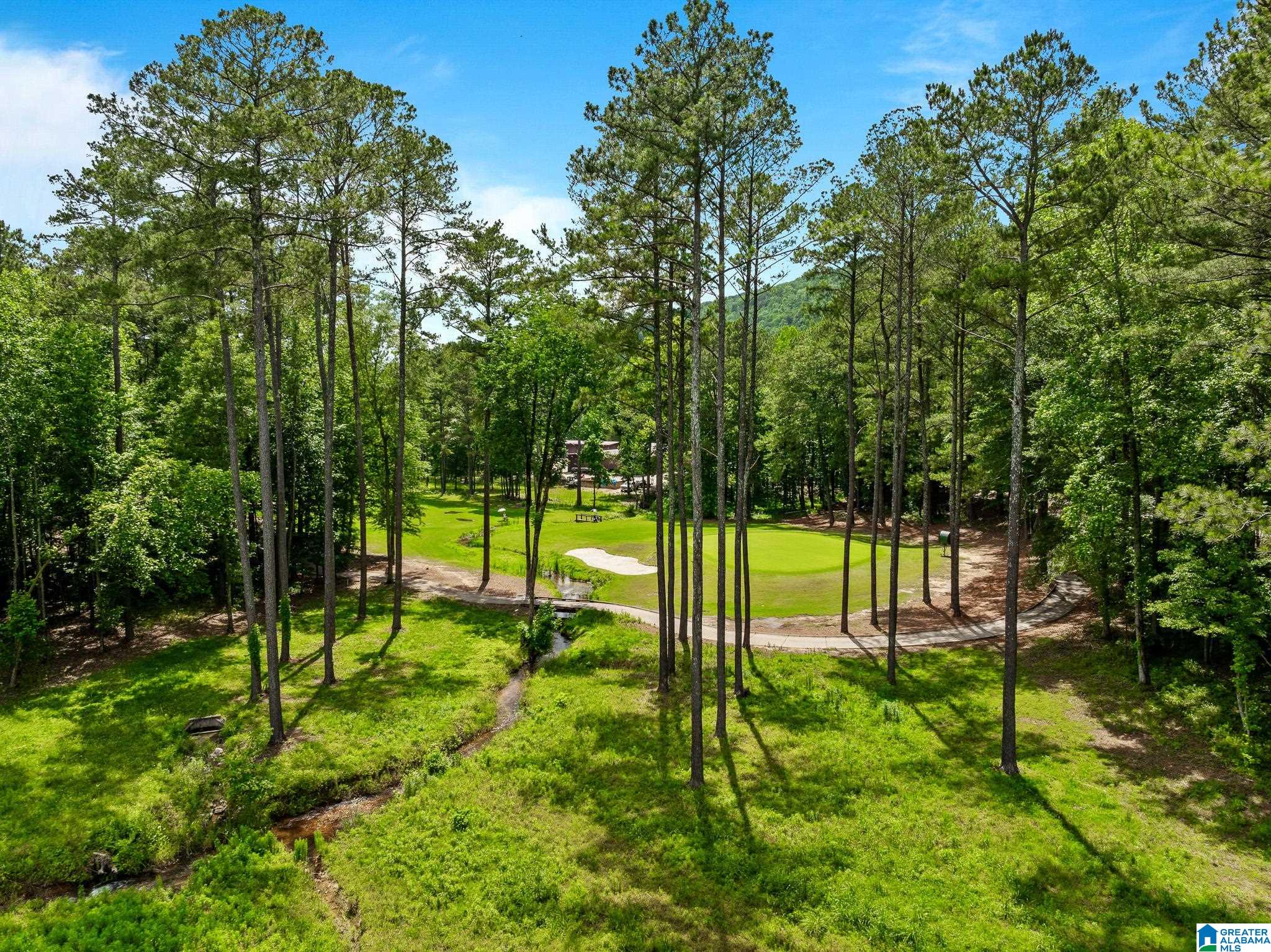 150 St Andrews Parkway Oneonta, AL 35121 - Photo 93 of 98