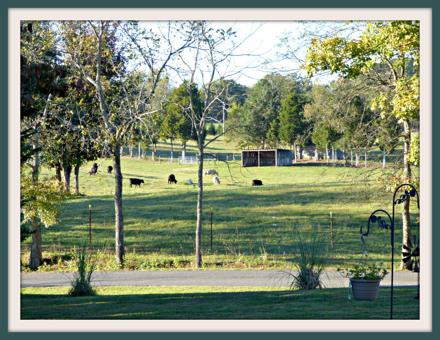 443 Morie Road Dandridge, TN 37725 - Photo 3 of 33 P1100862F