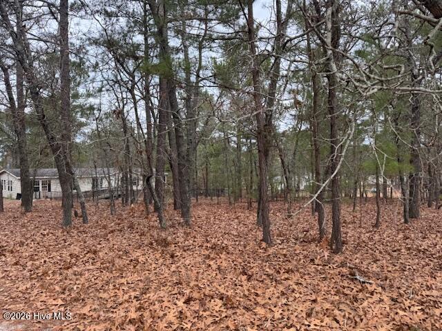 1470 Ring Road Carthage, NC 28327 - Photo 7 of 10 IMG_7967