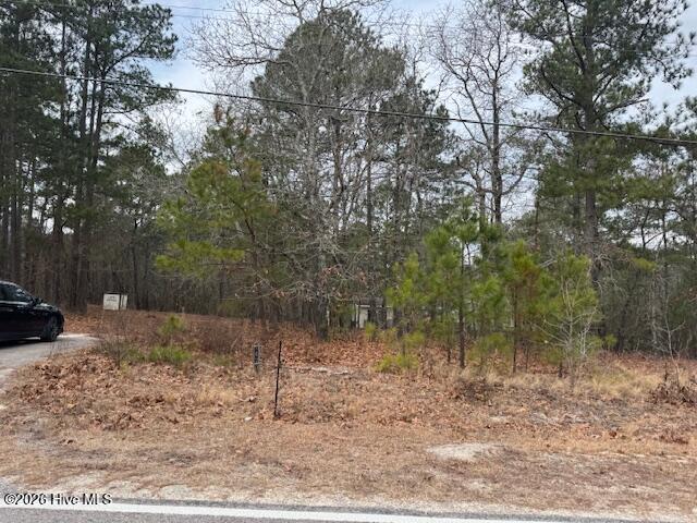 1470 Ring Road Carthage, NC 28327 - Photo 9 of 10 IMG_7981