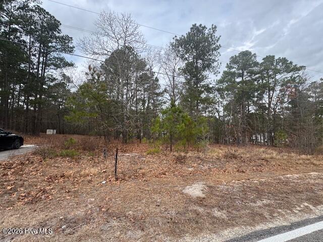 1470 Ring Road Carthage, NC 28327 - Photo 10 of 10 IMG_7982