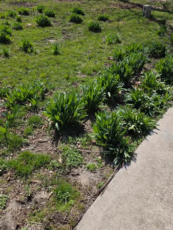 $360,000 | 408 East Diamond Street, Kendallville, IN 46755