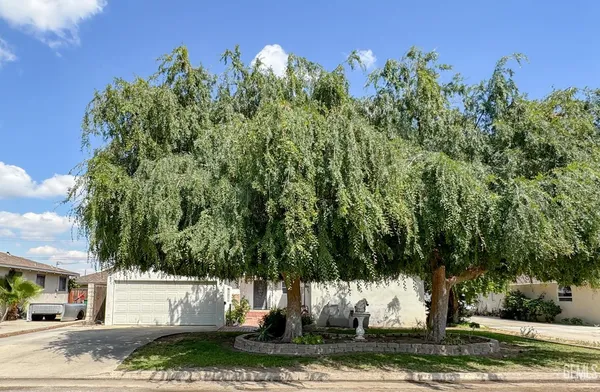 a view of a yard
