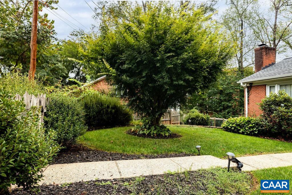 1905 Swanson Drive Charlottesville, VA 22901 - Photo 7 of 37 a view of a garden with a tree