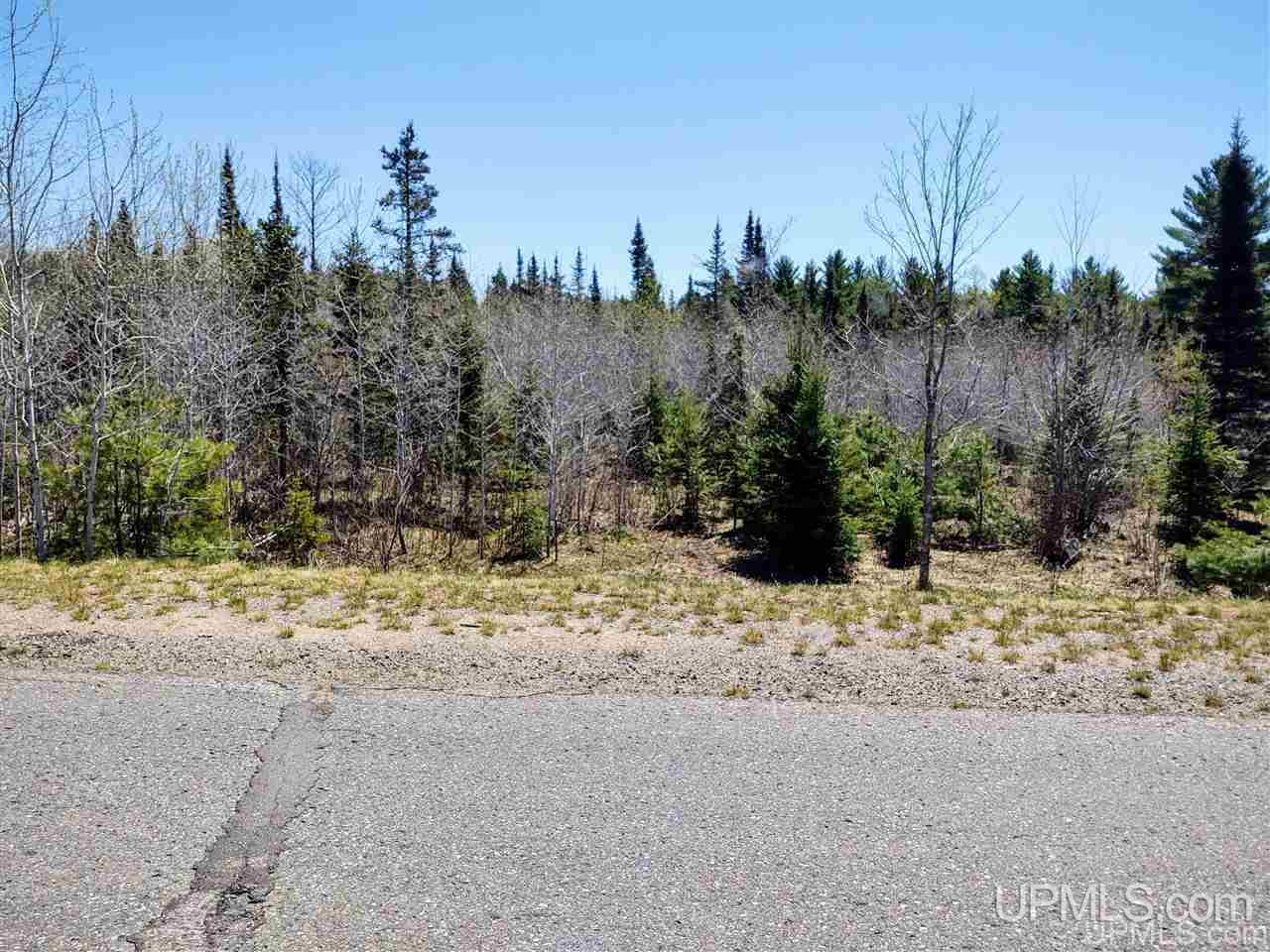 Tbd Forest Hwy 16 Road Iron River, MI 49935 - Photo 20 of 49