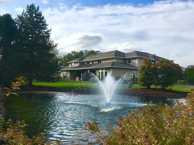 a view of a house with a yard and a pond