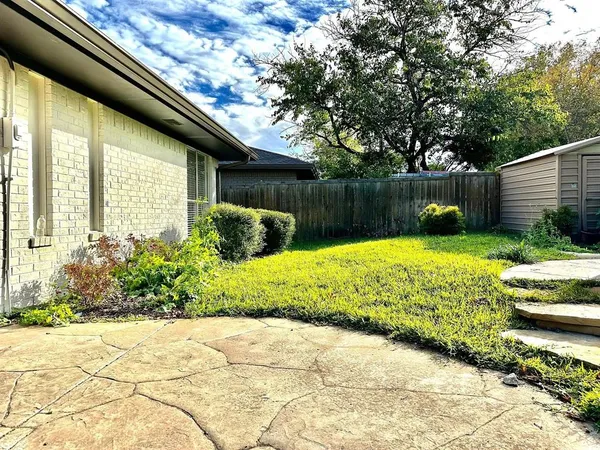a view of a backyard with plants and large trees