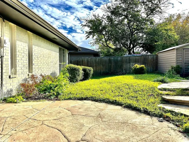 a view of a backyard with plants and large trees