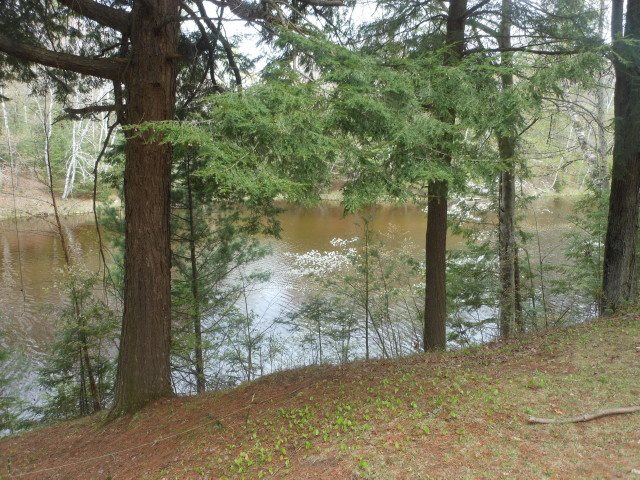 2793 River Ridge Road Alger, MI 48610 - Photo 3 of 14 1846624-2.JPG