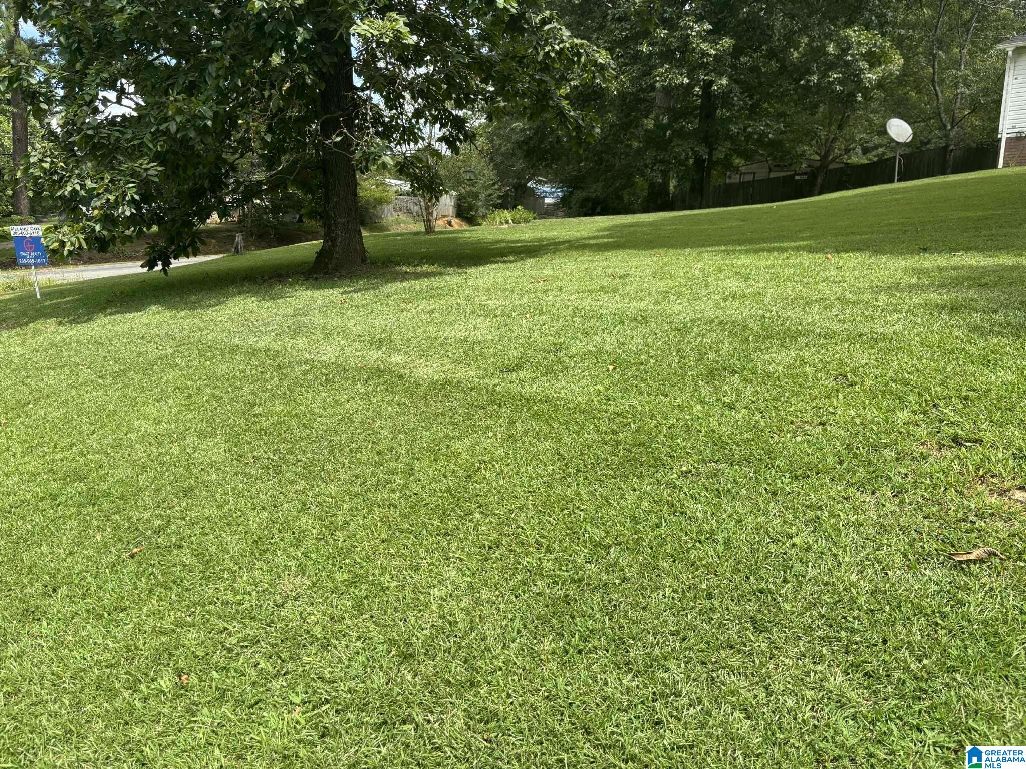 15 Davidson Drive Locust Fork, AL 35097 - Photo 4 of 30