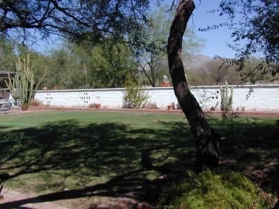 10519 East Tanque Verde Road, Unit 10521 Tucson, AZ 85749 - Photo 4 of 9