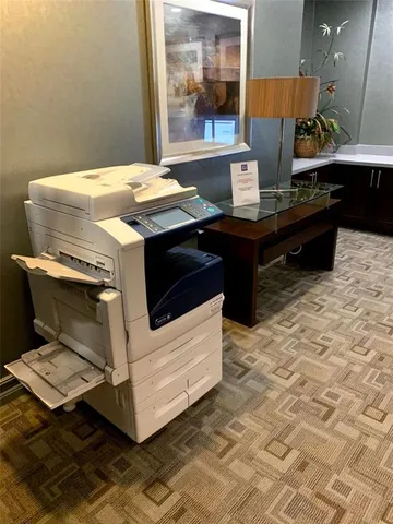 a room with a potted plant and a chandelier