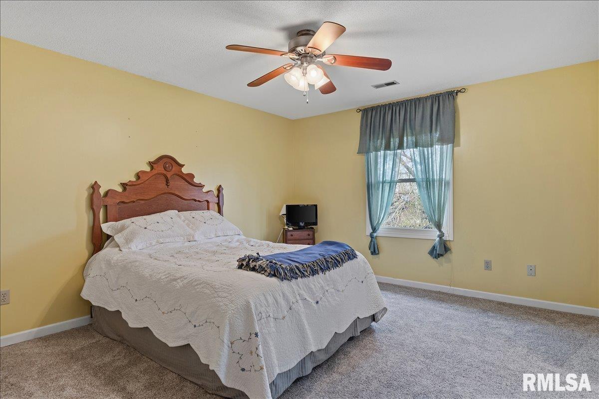 5 Taft Drive Rochester, IL 62563 - Photo 29 of 51