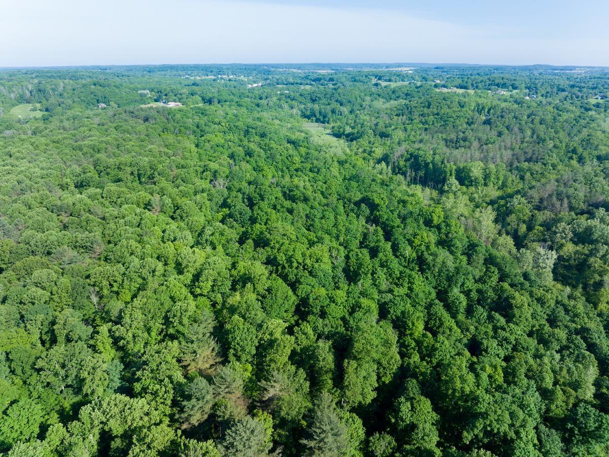 0 South Leonard Springs Road Bloomington, IN 47403 - Photo 10 of 25 Gallery Image 10