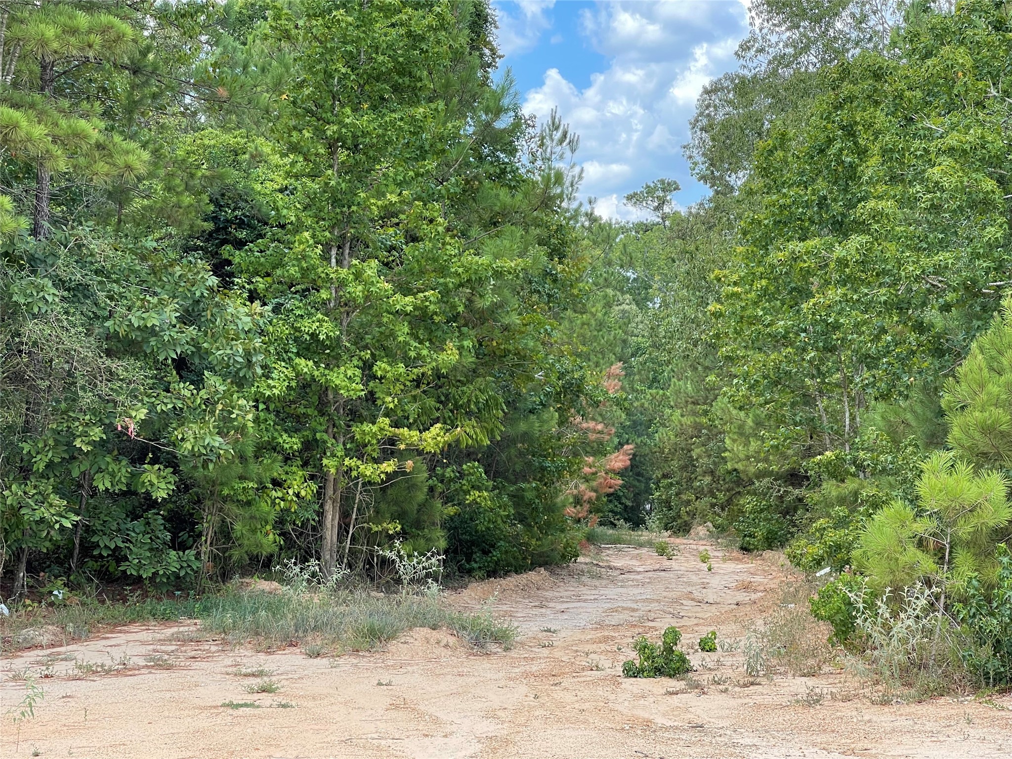 16611 Retreat Road Willis, TX 77378 - Photo 8 of 22 a view of a yard